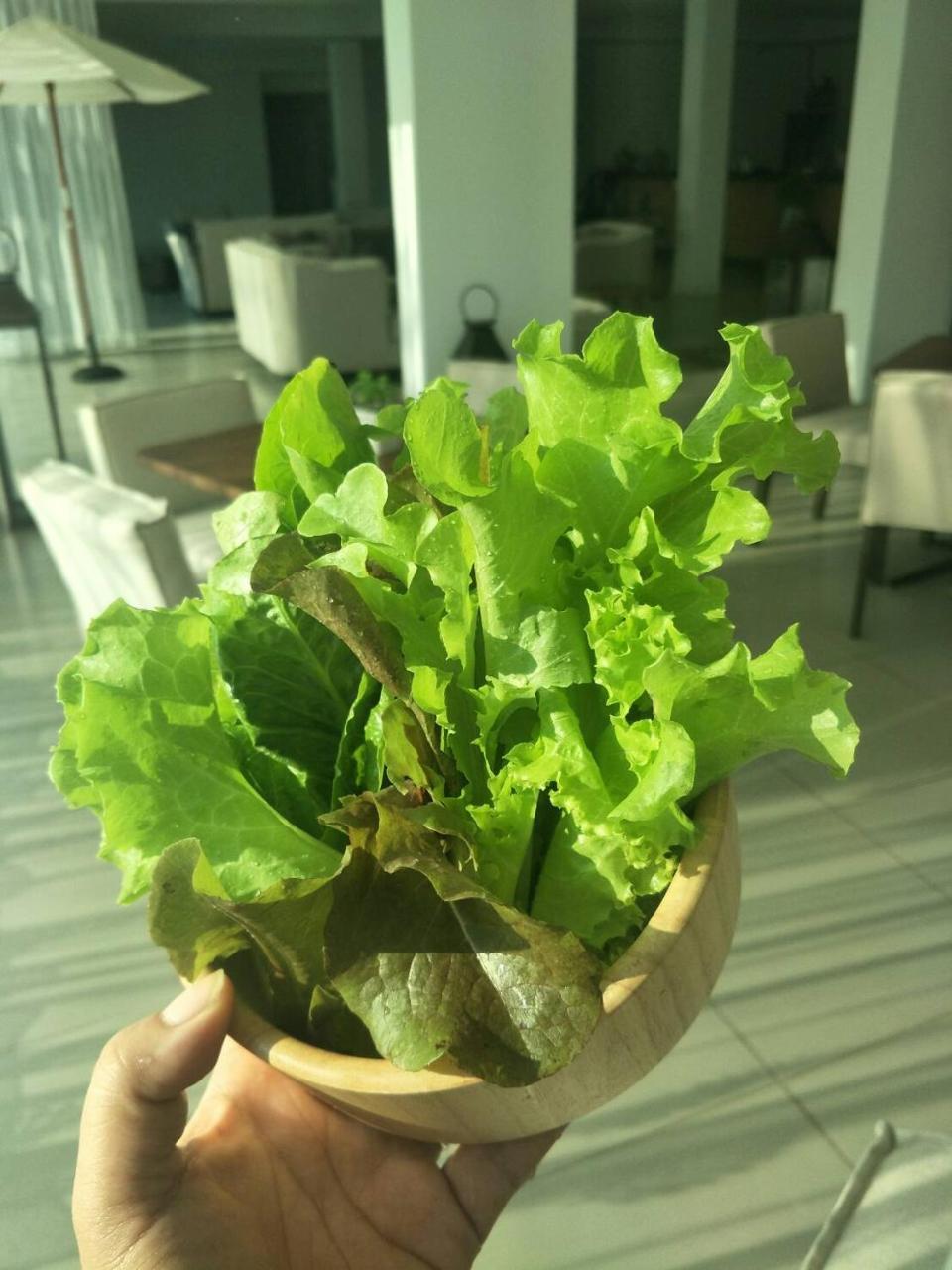The White Garden Premier Saraburi Hotel Ban Dao Ruang  Kültér fotó